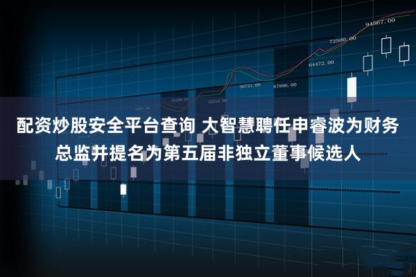 配资炒股安全平台查询 大智慧聘任申睿波为财务总监并提名为第五届非独立董事候选人