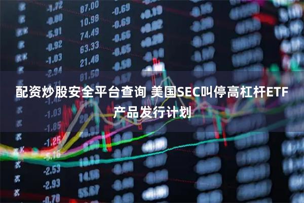 配资炒股安全平台查询 美国SEC叫停高杠杆ETF产品发行计划